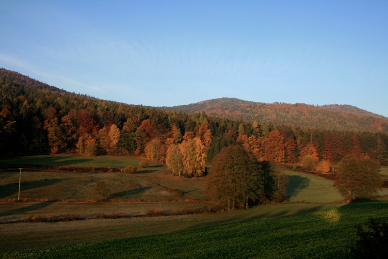 Herbststimmung